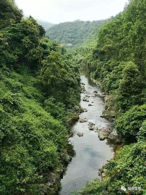 家庭自制烤肉片,真材实料,味道更美,吃着更放心