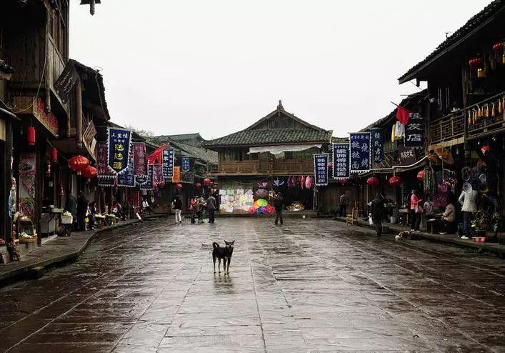 恐怖!俄乌战壕鼠患肆虐 拍拍衣服就有老鼠掉下来